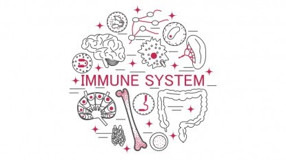 9 vecí, ktoré oslabujú imunitný systém